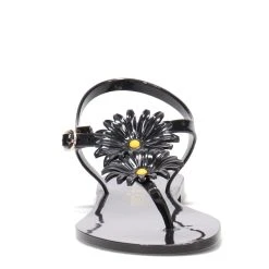 Women's Petite Jolie, Sturgis Sandal 11 Women's Petite Jolie, Sturgis Sandal -Anuschka shop 1 2224147 ZM 2