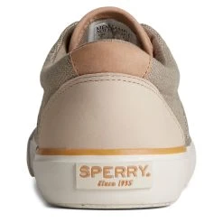 Men's Sperry, Striper II CVO SeaCycled Sneaker 11 Men's Sperry, Striper II CVO SeaCycled Sneaker -Anuschka shop 1 2531332 ZM 3